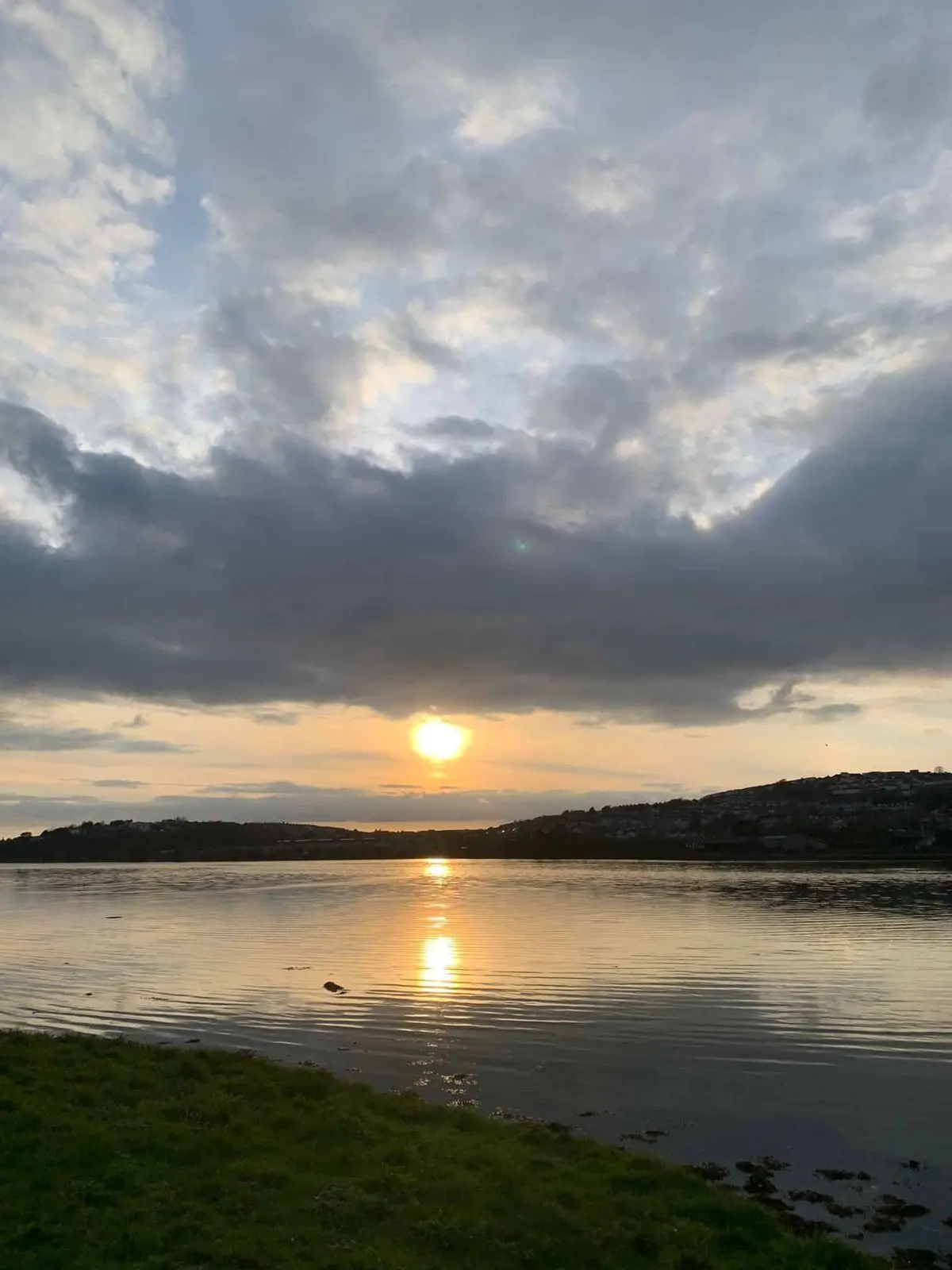 Sunset over calm water and a green shoreline